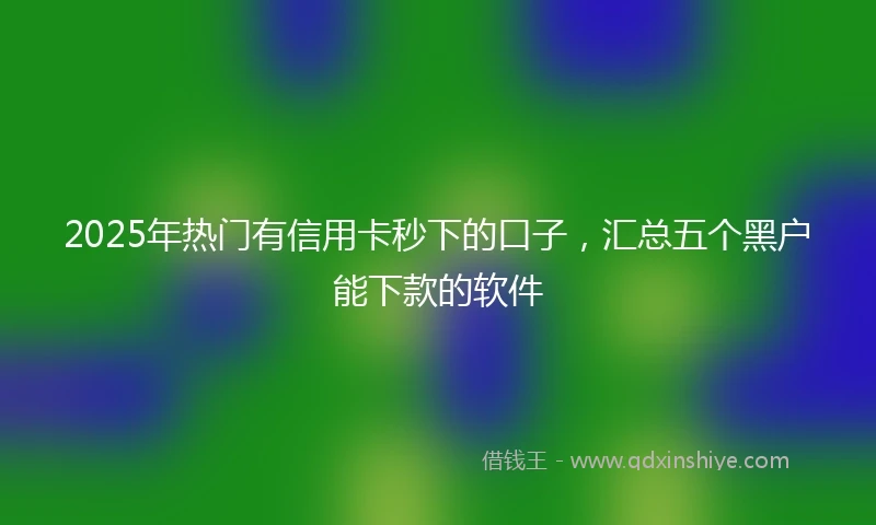 2025年热门有信用卡秒下的口子，汇总五个黑户能下款的软件