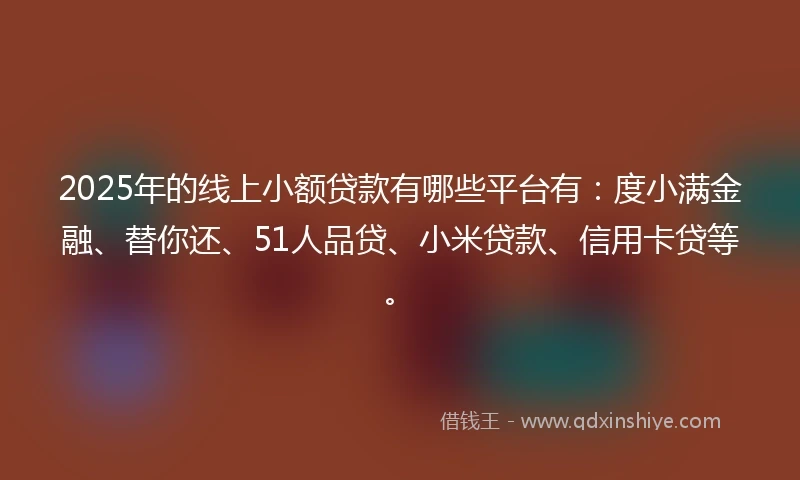 2025年的线上小额贷款有哪些平台有：度小满金融、替你还、51人品贷、小米贷款、信用卡贷等。