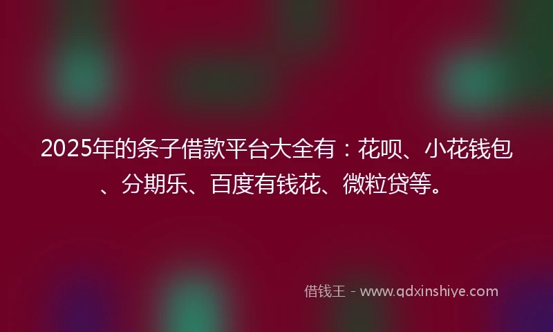 2025年的条子借款平台大全有：花呗、小花钱包、分期乐、百度有钱花、微粒贷等。