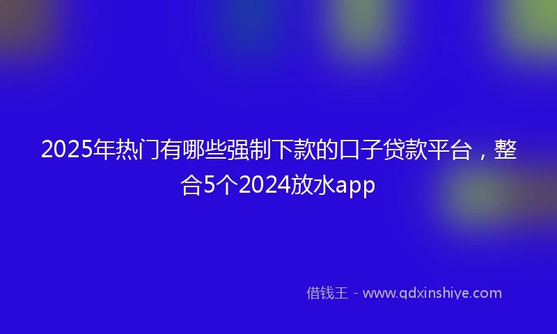 2025年热门有哪些强制下款的口子贷款平台，整合5个2024放水app