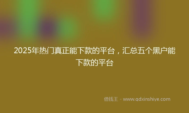 2025年热门真正能下款的平台，汇总五个黑户能下款的平台