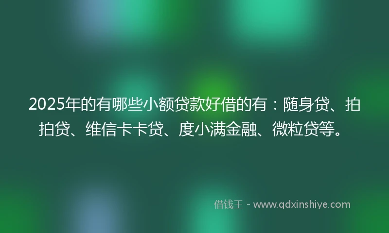 2025年的有哪些小额贷款好借的有：随身贷、拍拍贷、维信卡卡贷、度小满金融、微粒贷等。
