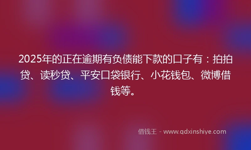 2025年的正在逾期有负债能下款的口子有：拍拍贷、读秒贷、平安口袋银行、小花钱包、微博借钱等。