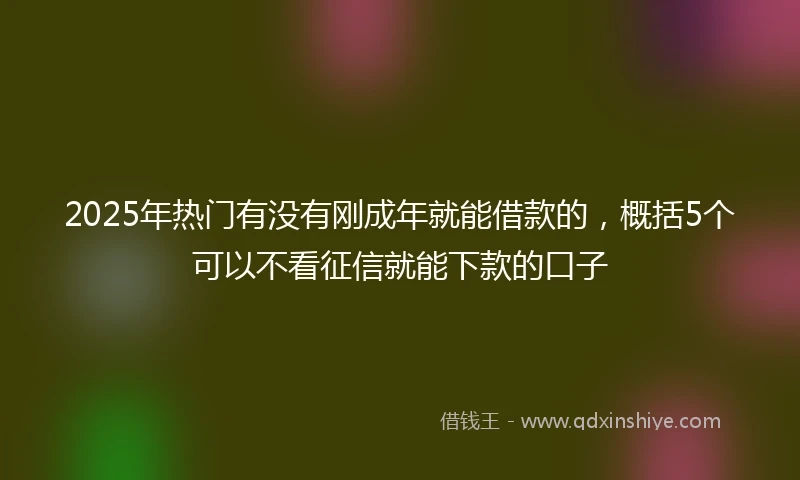 2025年热门有没有刚成年就能借款的，概括5个可以不看征信就能下款的口子