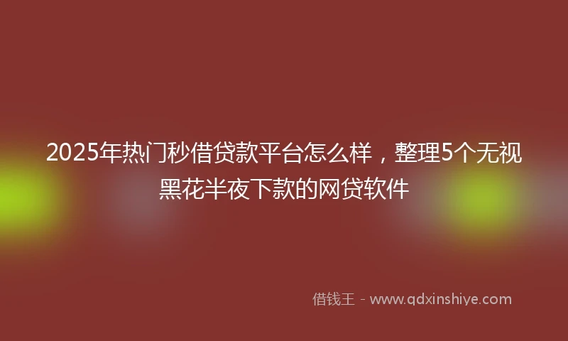 2025年热门秒借贷款平台怎么样，整理5个无视黑花半夜下款的网贷软件