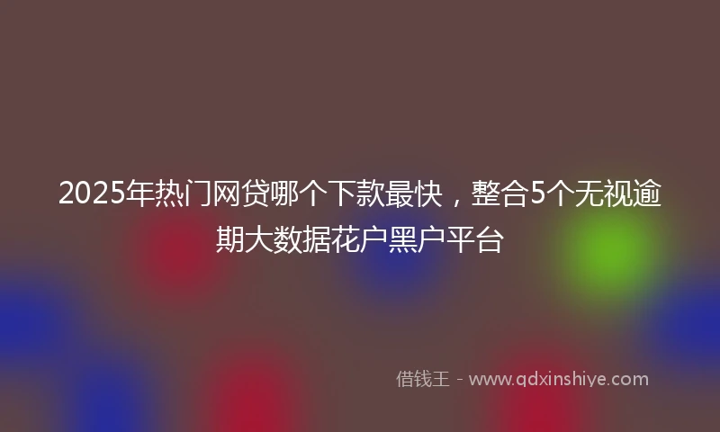 2025年热门网贷哪个下款最快，整合5个无视逾期大数据花户黑户平台