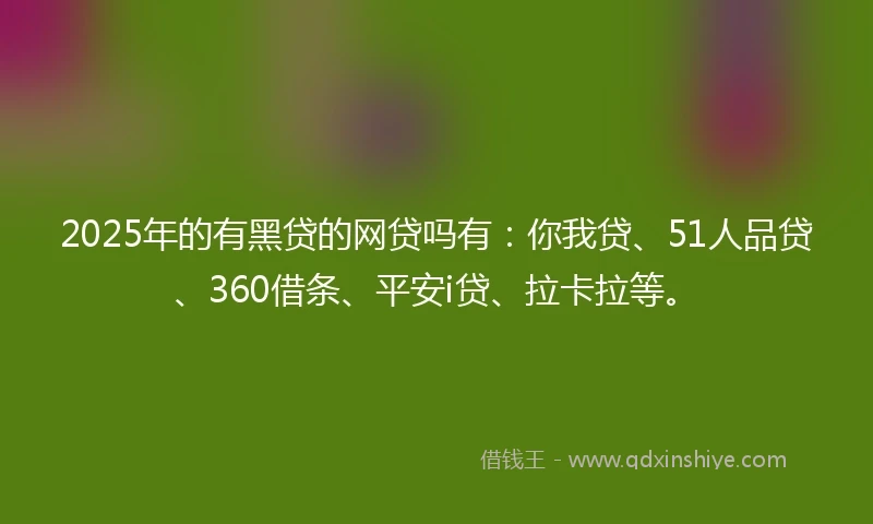 2025年的有黑贷的网贷吗有：你我贷、51人品贷、360借条、平安i贷、拉卡拉等。