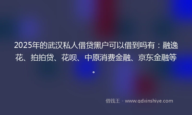 2025年的武汉私人借贷黑户可以借到吗有：融逸花、拍拍贷、花呗、中原消费金融、京东金融等。