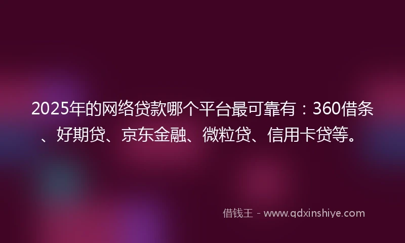 2025年的网络贷款哪个平台最可靠有：360借条、好期贷、京东金融、微粒贷、信用卡贷等。