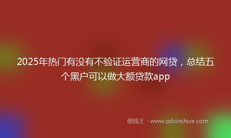 2025年热门有没有不验证运营商的网贷，总结五个黑户可以做大额贷款app
