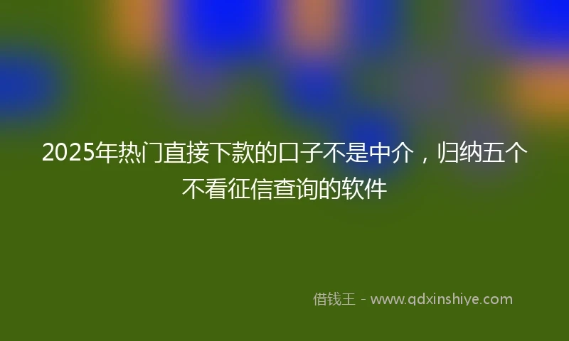 2025年热门直接下款的口子不是中介，归纳五个不看征信查询的软件