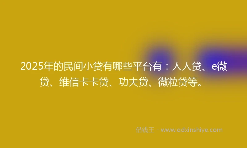 2025年的民间小贷有哪些平台有：人人贷、e微贷、维信卡卡贷、功夫贷、微粒贷等。