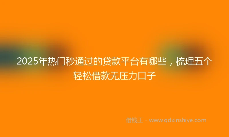 2025年热门秒通过的贷款平台有哪些，梳理五个轻松借款无压力口子