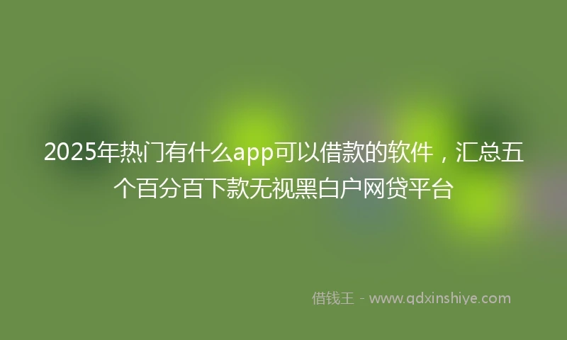 2025年热门有什么app可以借款的软件，汇总五个百分百下款无视黑白户网贷平台