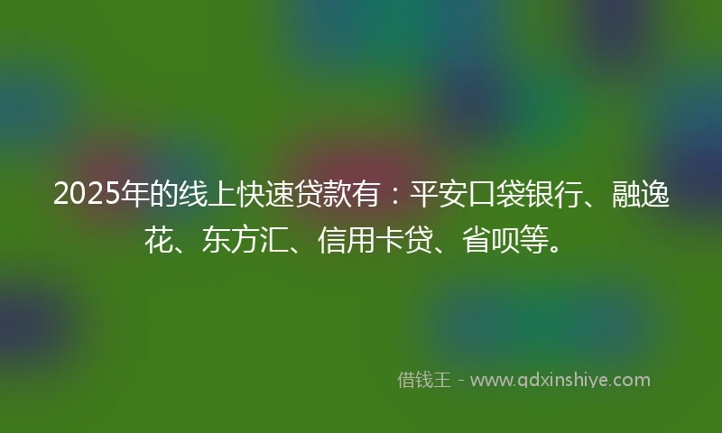 2025年的线上快速贷款有：平安口袋银行、融逸花、东方汇、信用卡贷、省呗等。