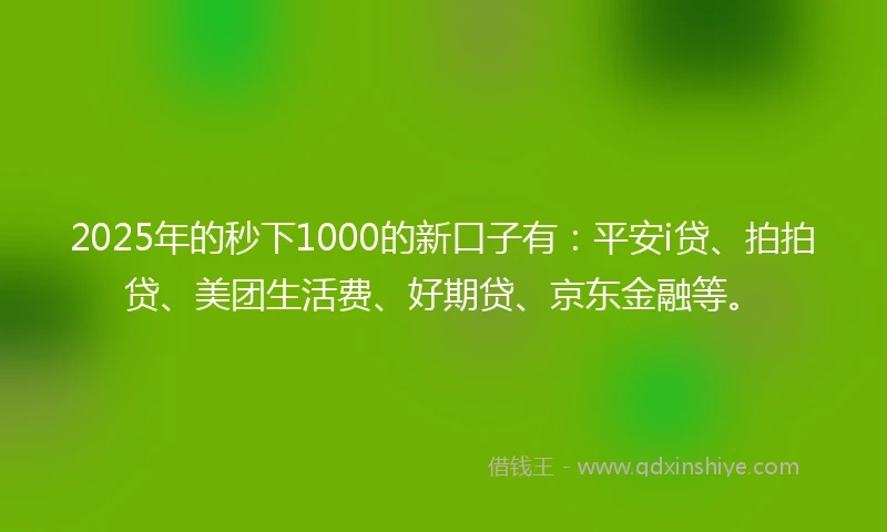 2025年的秒下1000的新口子有：平安i贷、拍拍贷、美团生活费、好期贷、京东金融等。