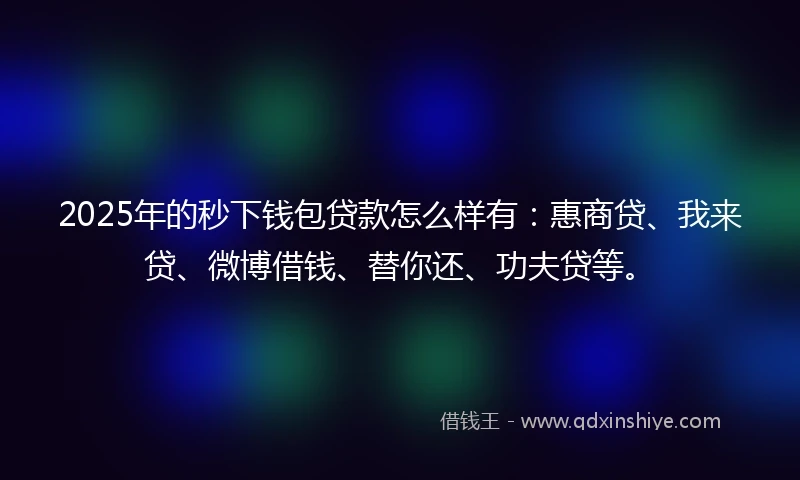 2025年的秒下钱包贷款怎么样有：惠商贷、我来贷、微博借钱、替你还、功夫贷等。