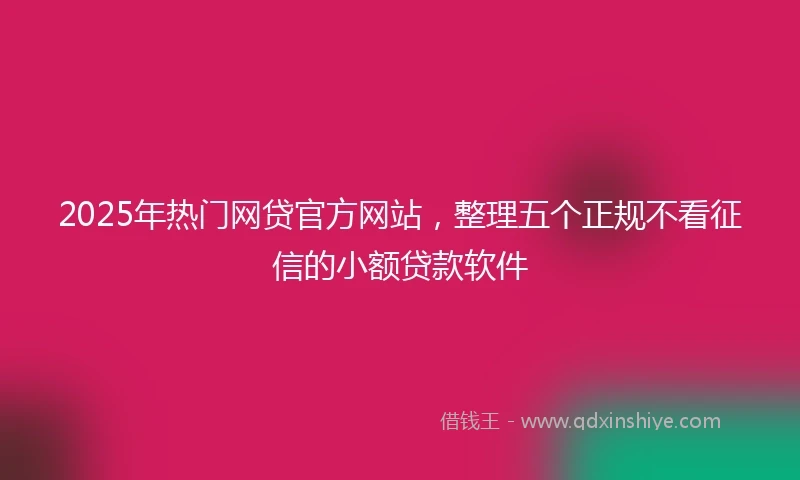 2025年热门网贷官方网站，整理五个正规不看征信的小额贷款软件