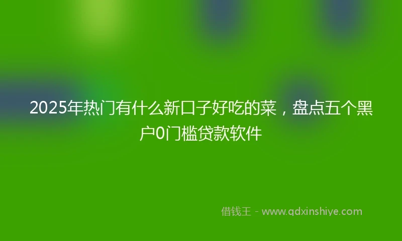 2025年热门有什么新口子好吃的菜，盘点五个黑户0门槛贷款软件