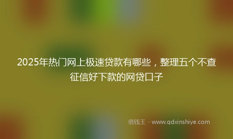 2025年热门网上极速贷款有哪些，整理五个不查征信好下款的网贷口子
