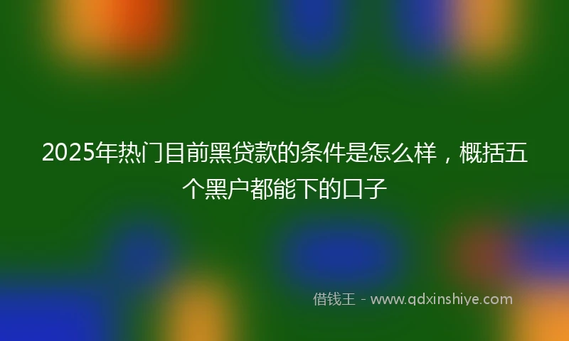 2025年热门目前黑贷款的条件是怎么样，概括五个黑户都能下的口子