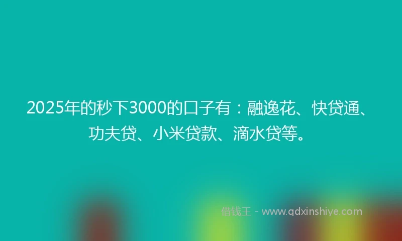 2025年的秒下3000的口子有：融逸花、快贷通、功夫贷、小米贷款、滴水贷等。