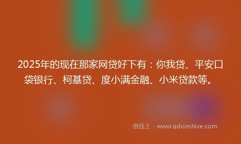2025年的现在那家网贷好下有：你我贷、平安口袋银行、柯基贷、度小满金融、小米贷款等。