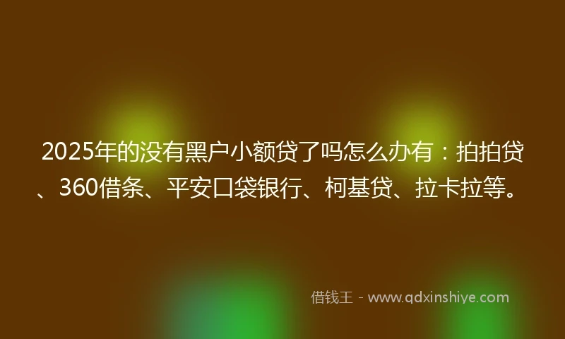 2025年的没有黑户小额贷了吗怎么办有：拍拍贷、360借条、平安口袋银行、柯基贷、拉卡拉等。