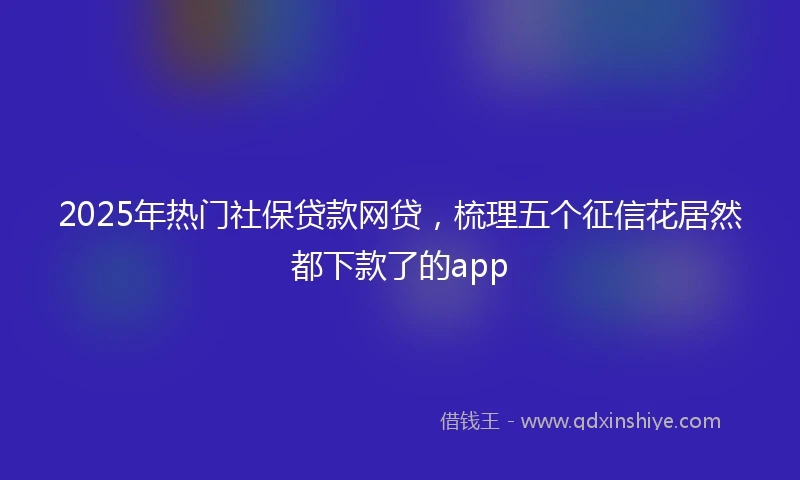 2025年热门社保贷款网贷，梳理五个征信花居然都下款了的app