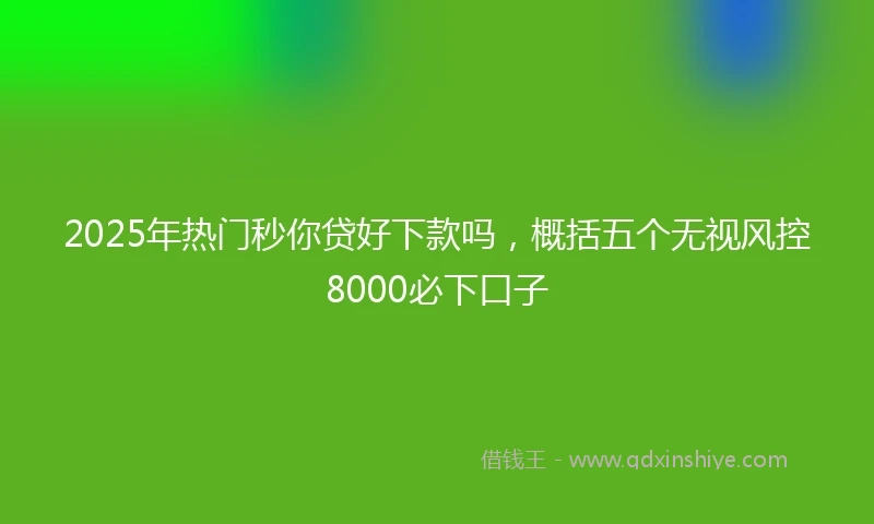 2025年热门秒你贷好下款吗，概括五个无视风控8000必下口子