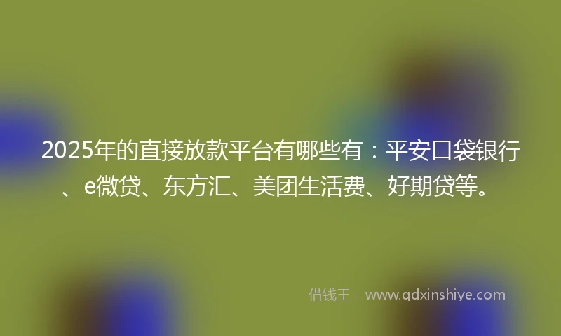 2025年的直接放款平台有哪些有：平安口袋银行、e微贷、东方汇、美团生活费、好期贷等。