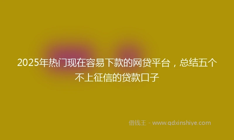 2025年热门现在容易下款的网贷平台，总结五个不上征信的贷款口子
