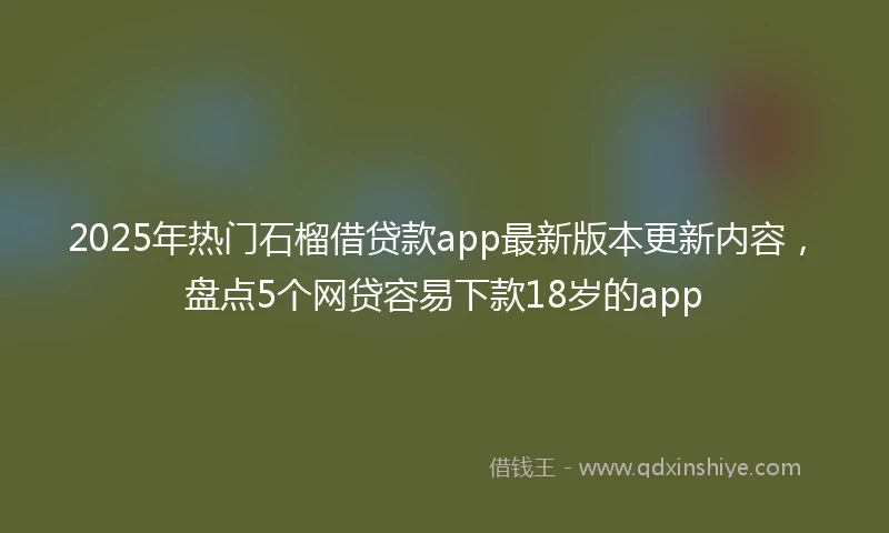 2025年热门石榴借贷款app最新版本更新内容，盘点5个网贷容易下款18岁的app