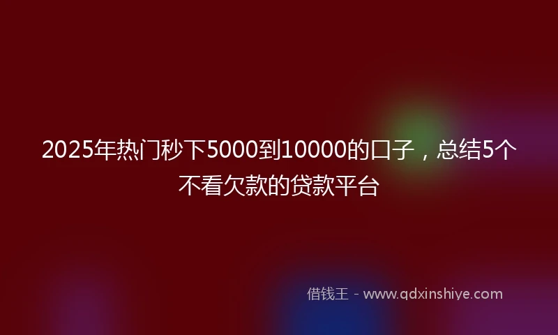 2025年热门秒下5000到10000的口子，总结5个不看欠款的贷款平台