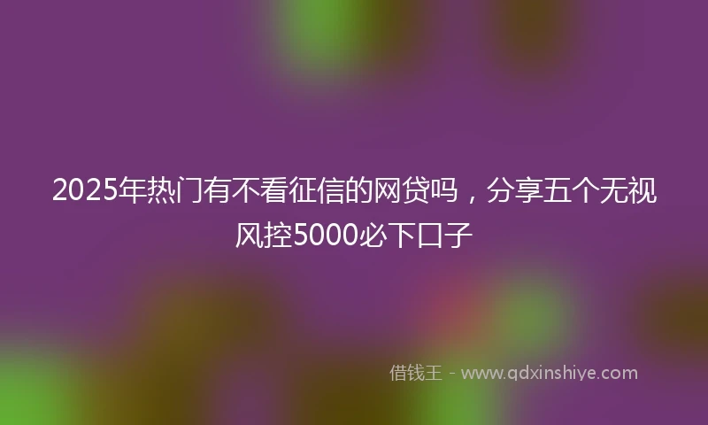2025年热门有不看征信的网贷吗，分享五个无视风控5000必下口子