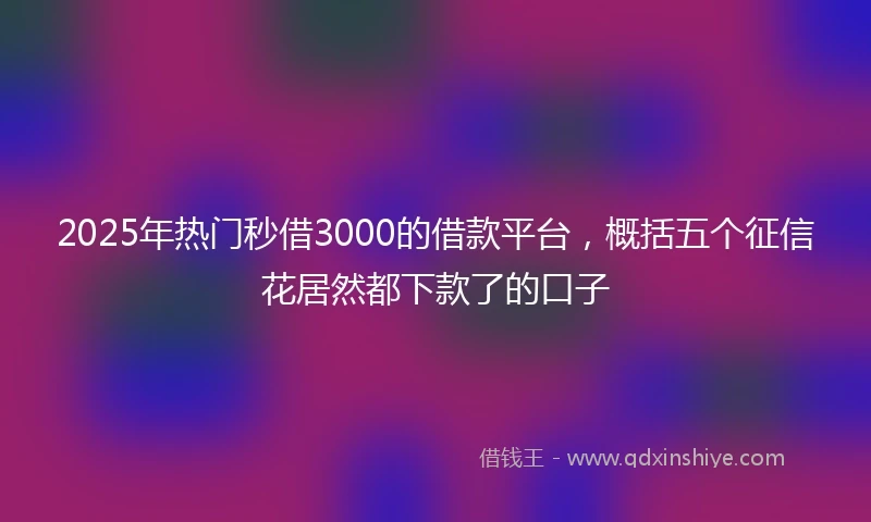 2025年热门秒借3000的借款平台，概括五个征信花居然都下款了的口子