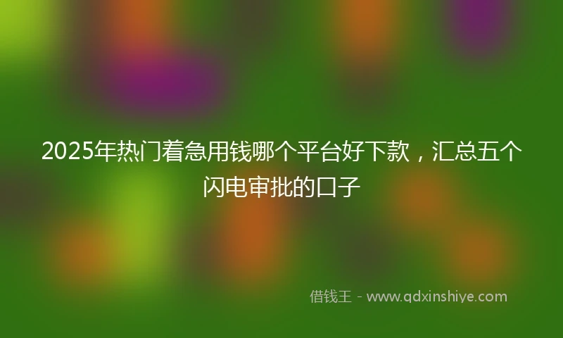2025年热门着急用钱哪个平台好下款，汇总五个闪电审批的口子
