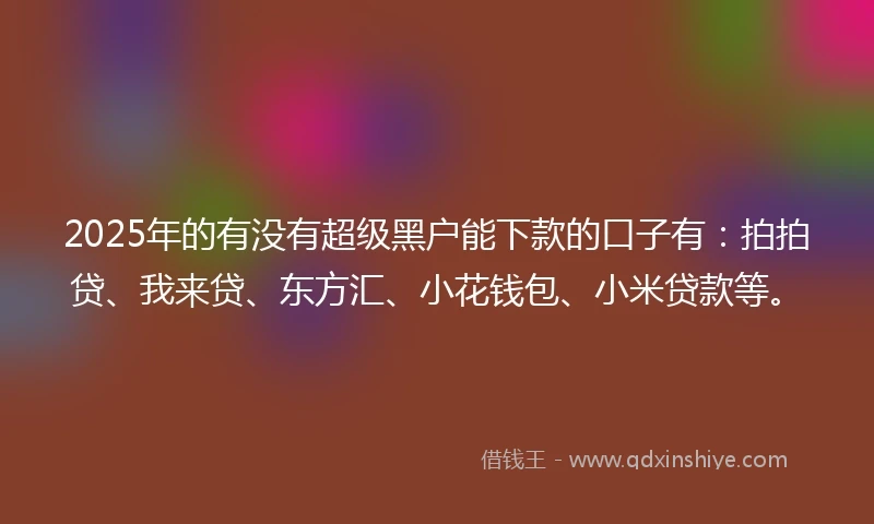 2025年的有没有超级黑户能下款的口子有：拍拍贷、我来贷、东方汇、小花钱包、小米贷款等。