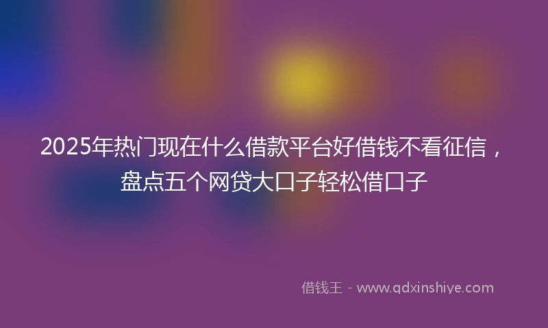 2025年热门现在什么借款平台好借钱不看征信，盘点五个网贷大口子轻松借口子