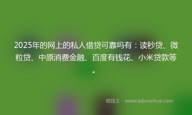 2025年的网上的私人借贷可靠吗有：读秒贷、微粒贷、中原消费金融、百度有钱花、小米贷款等。