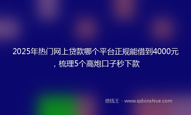 2025年热门网上贷款哪个平台正规能借到4000元，梳理5个高炮口子秒下款