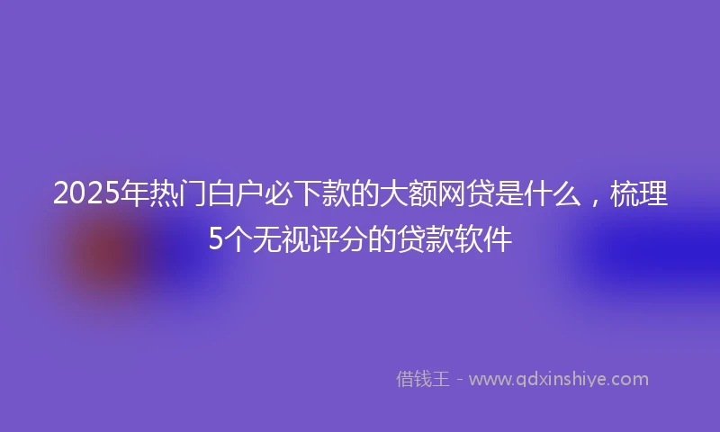 2025年热门白户必下款的大额网贷是什么，梳理5个无视评分的贷款软件