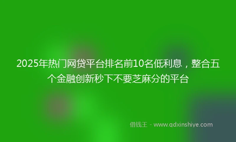 2025年热门网贷平台排名前10名低利息，整合五个金融创新秒下不要芝麻分的平台