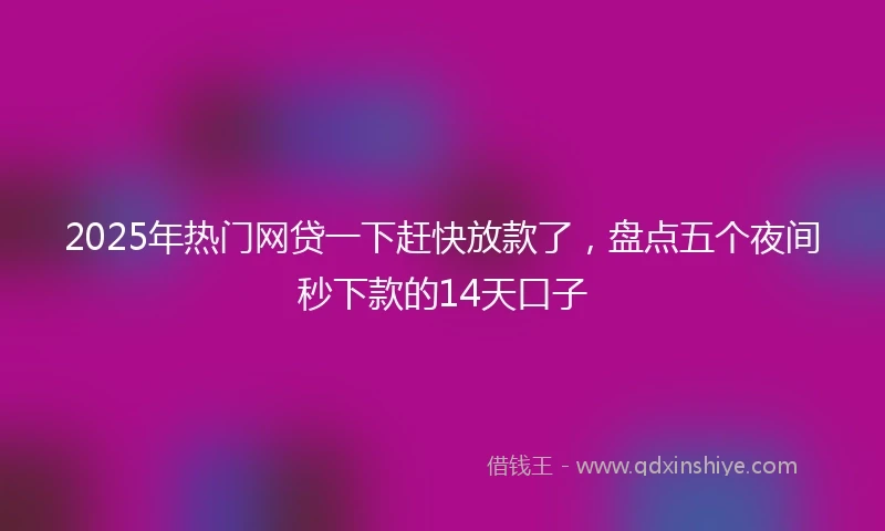 2025年热门网贷一下赶快放款了，盘点五个夜间秒下款的14天口子