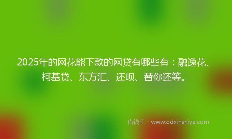 2025年的网花能下款的网贷有哪些有：融逸花、柯基贷、东方汇、还呗、替你还等。