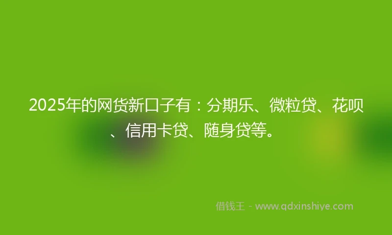 2025年的网货新口子有：分期乐、微粒贷、花呗、信用卡贷、随身贷等。