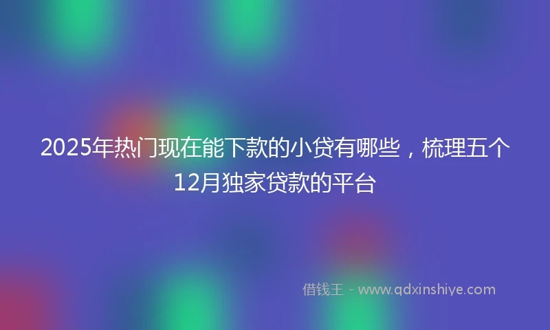 2025年热门现在能下款的小贷有哪些，梳理五个12月独家贷款的平台