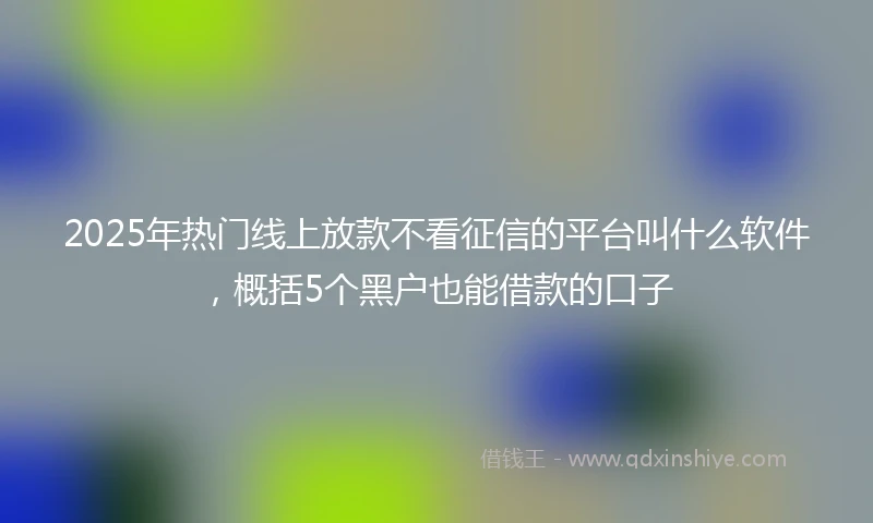 2025年热门线上放款不看征信的平台叫什么软件，概括5个黑户也能借款的口子