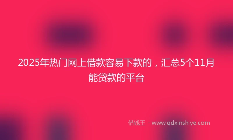 2025年热门网上借款容易下款的，汇总5个11月能贷款的平台