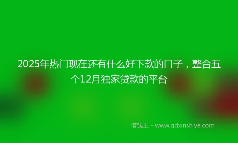 2025年热门现在还有什么好下款的口子，整合五个12月独家贷款的平台